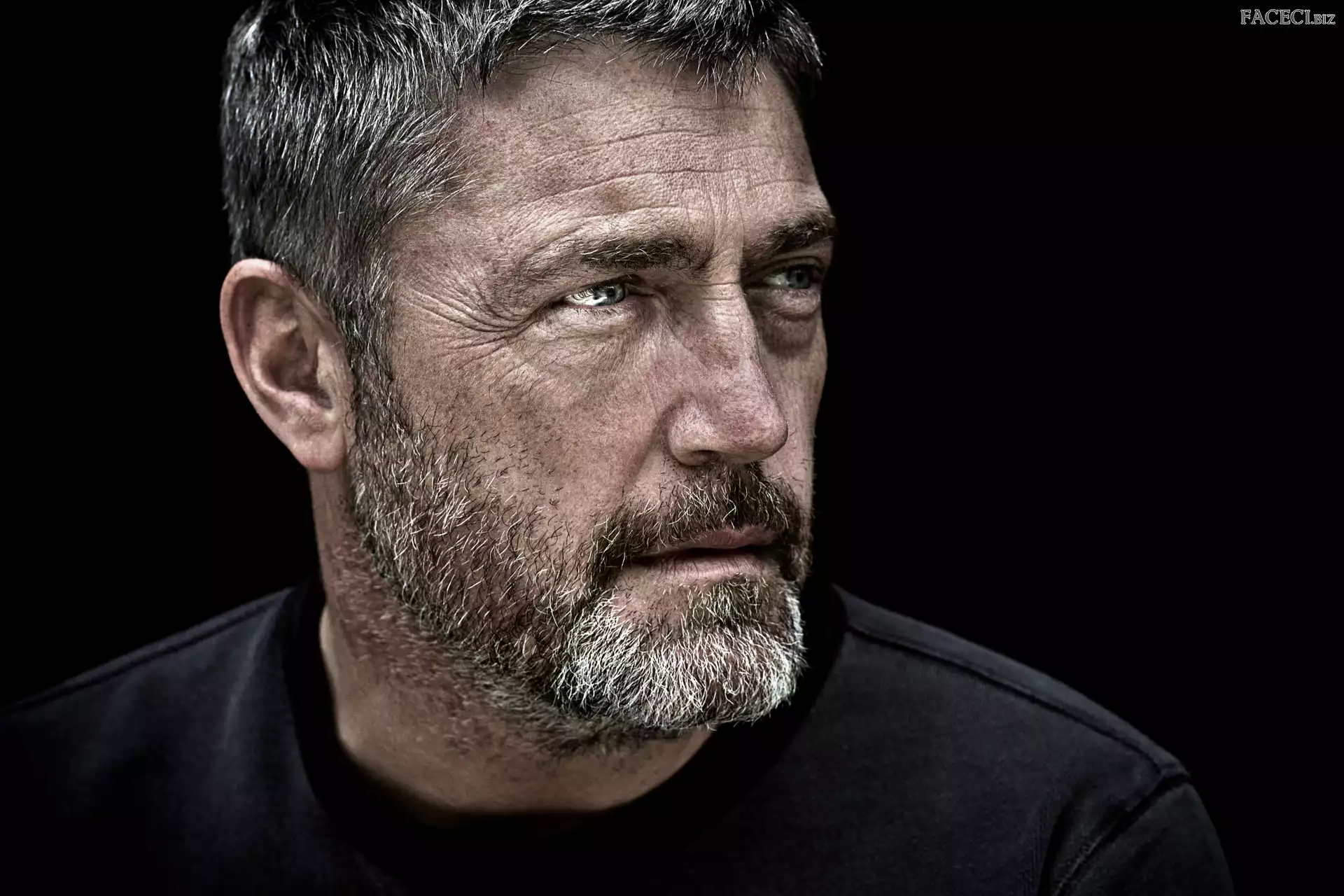 Mężczyzna, Broda, Aktor, Szare, Włosy, Vincent Regan, Twarz